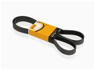 CORREIA POLY-V CONTITECH