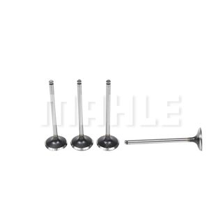 COXIM HIDRAULICO DO MOTOR V8