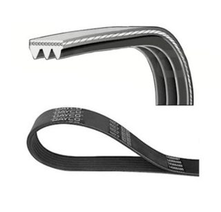 CORREIA POLY-V DAYCO